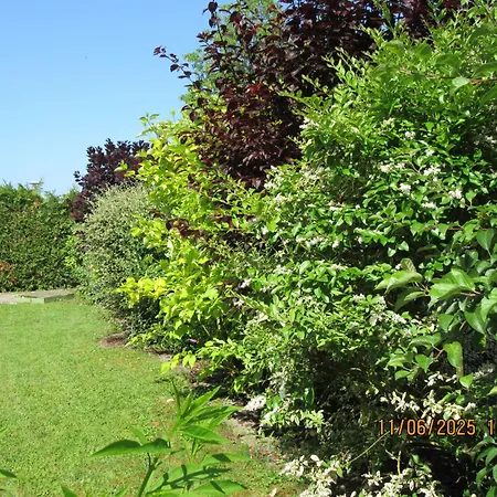 Charmante Avec Sur La Propriete * Hagenthal-le-Bas