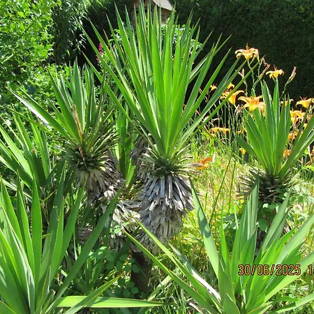 Charmante Avec Sur La Propriete דירה