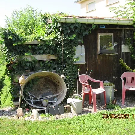 Charmante Avec Sur La Propriete Lägenhet Hagenthal-le-Bas