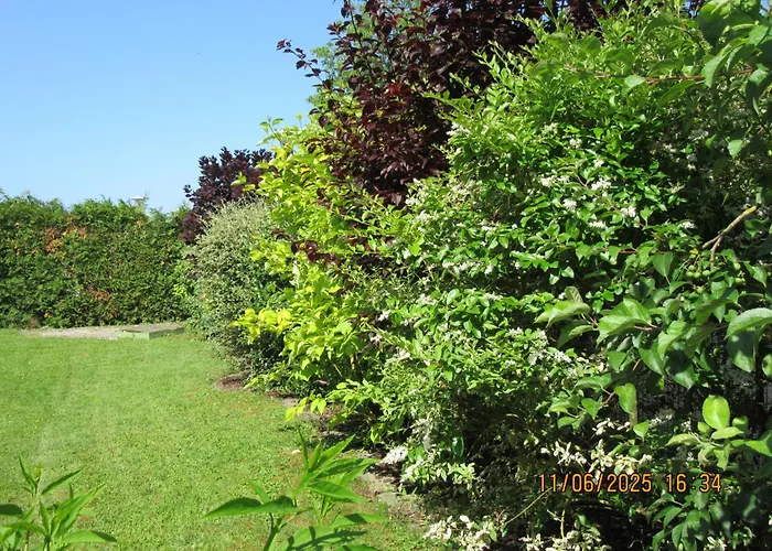 Charmante Avec Sur La Propriete * Hagenthal-le-Bas