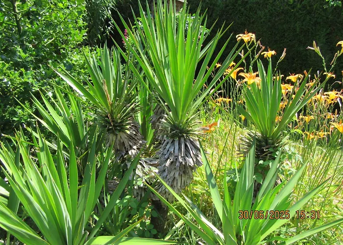 Charmante Avec Sur La Propriete Lägenhet