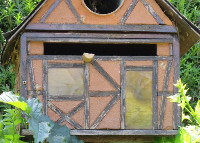 Charmante Avec Sur La Propriete Lägenhet Hagenthal-le-Bas